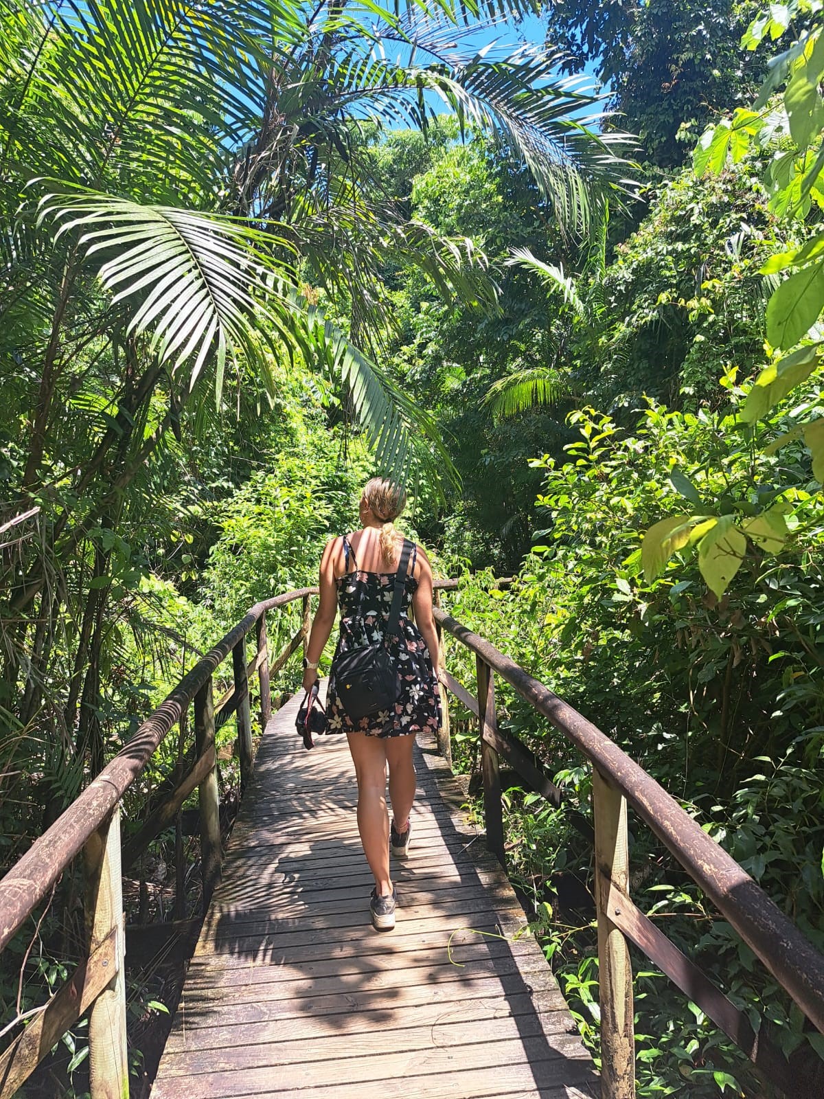 Jungletrail in Costa Rica