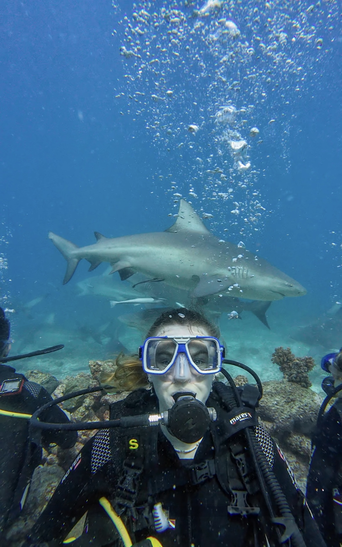Bullsharks in Fiji