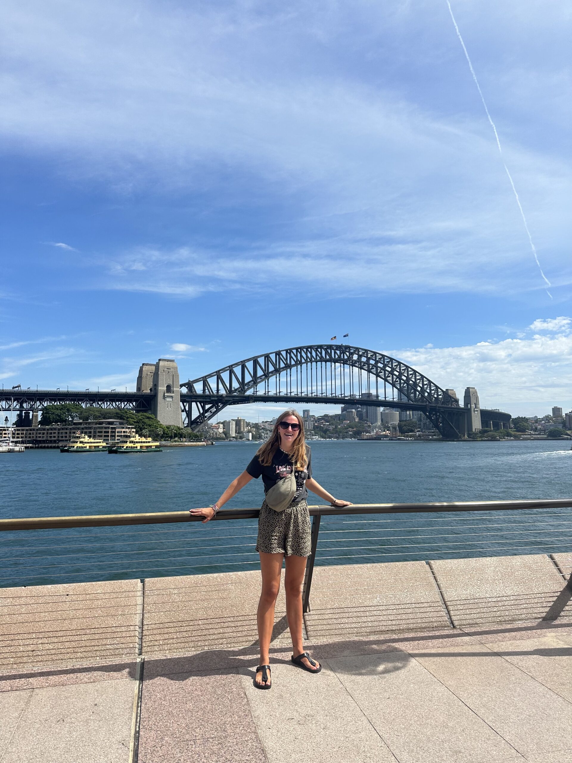 Harbour Bridge in Sydney